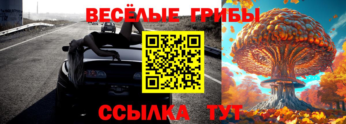 Псилоцибиновые грибы прущие грибы Кемерово