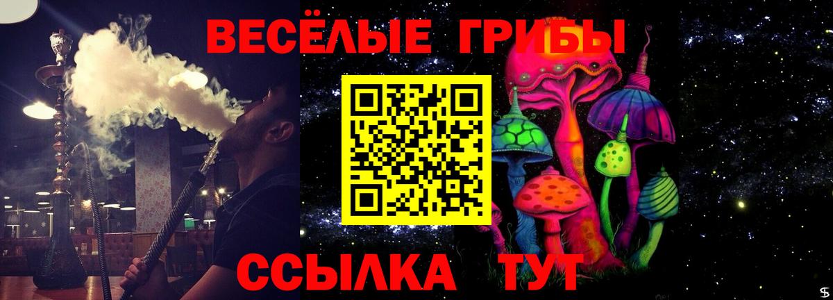 Кемерово  Галлюциногенные грибы MAGIC MUSHROOMS  Вход с VPN  Псилоцибиновые грибы Magic Shrooms 